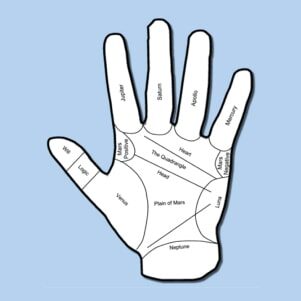 Palm Readings